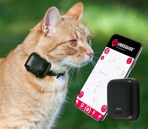 gps cat tracker without subscription.